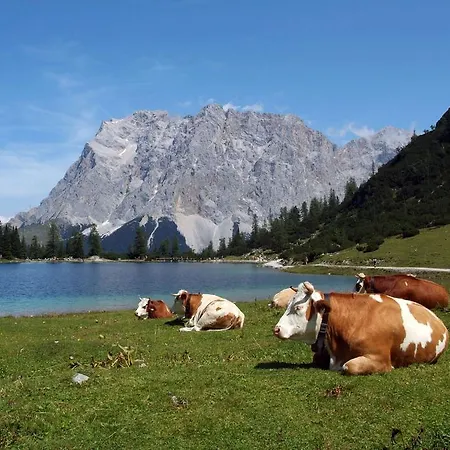 Alpen Marlene شقة *